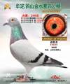 图片暂时未上传