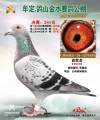 图片暂时未上传