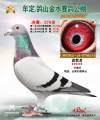 图片暂时未上传