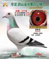 图片暂时未上传