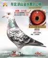 图片暂时未上传