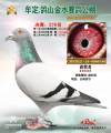 图片暂时未上传
