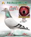 图片暂时未上传