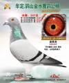 图片暂时未上传