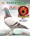 图片暂时未上传
