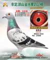 图片暂时未上传