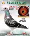 图片暂时未上传