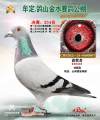图片暂时未上传