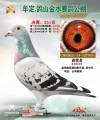 图片暂时未上传