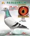 图片暂时未上传