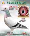 图片暂时未上传