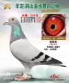 图片暂时未上传