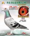 图片暂时未上传
