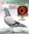 图片暂时未上传
