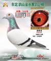 图片暂时未上传