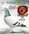 图片暂时未上传