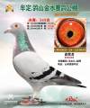图片暂时未上传