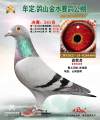 图片暂时未上传
