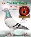图片暂时未上传