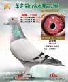 图片暂时未上传