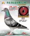 图片暂时未上传