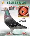 图片暂时未上传