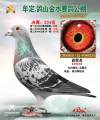 图片暂时未上传
