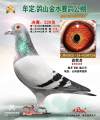 图片暂时未上传