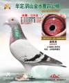图片暂时未上传
