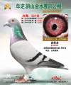 图片暂时未上传