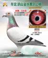 图片暂时未上传