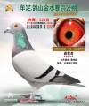 图片暂时未上传