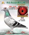 图片暂时未上传