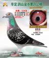 图片暂时未上传