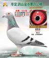 图片暂时未上传