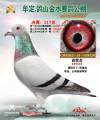图片暂时未上传