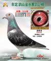 图片暂时未上传