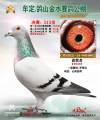 图片暂时未上传