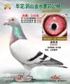 图片暂时未上传