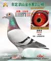 图片暂时未上传