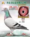 图片暂时未上传