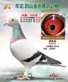 图片暂时未上传