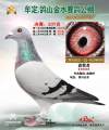 图片暂时未上传