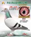 图片暂时未上传