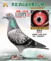 图片暂时未上传