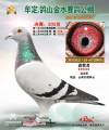 图片暂时未上传