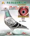 图片暂时未上传