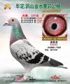 图片暂时未上传
