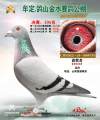 图片暂时未上传