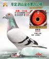 图片暂时未上传